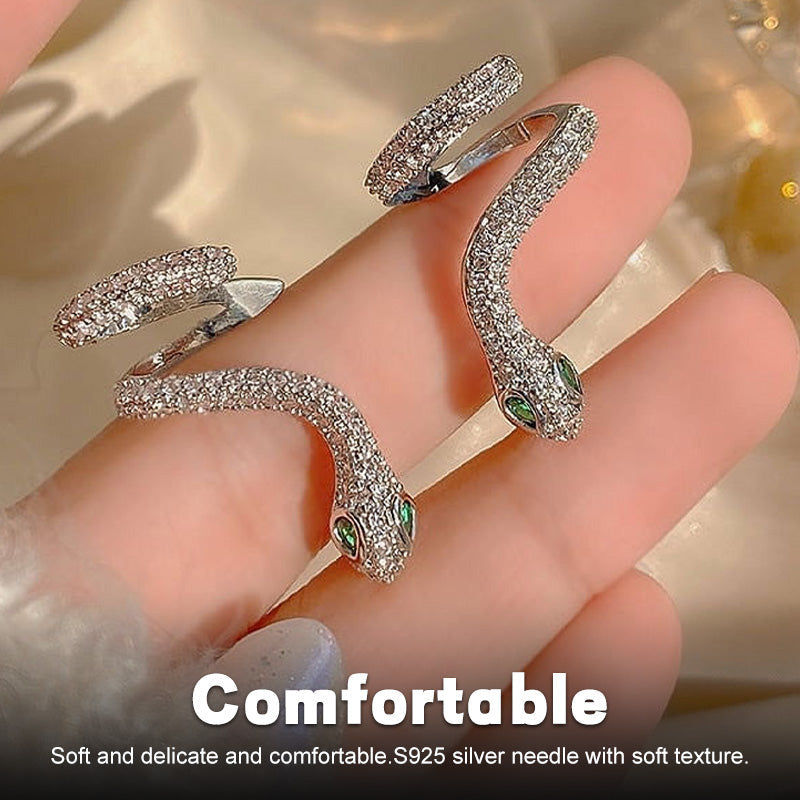 Smart Snake-Shaped Silver Ear Clip π