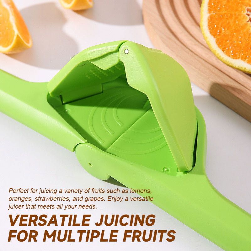 Manual Folding Juicer