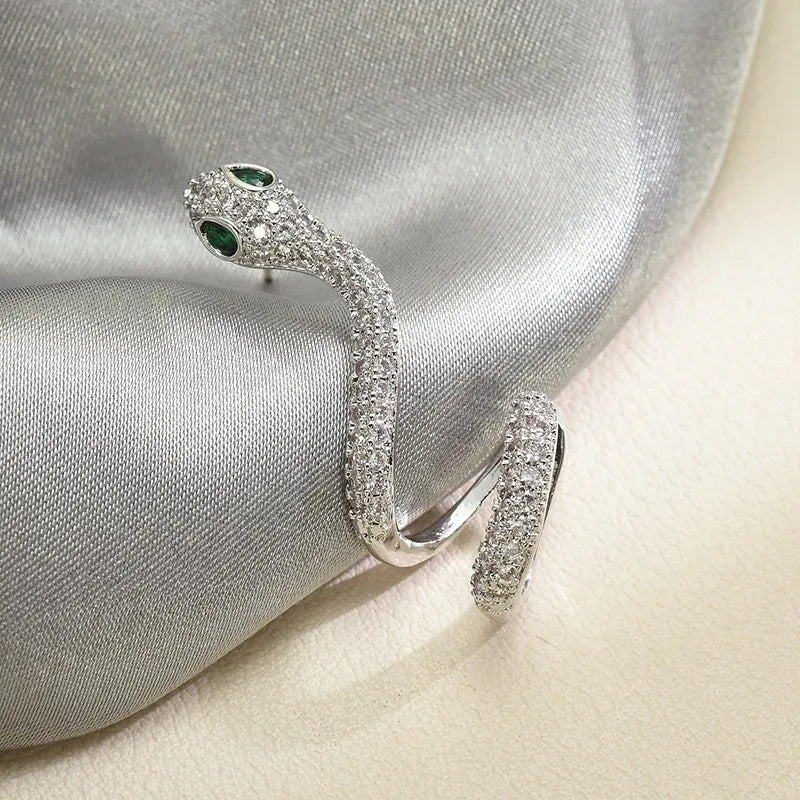 Smart Snake-Shaped Silver Ear Clip π