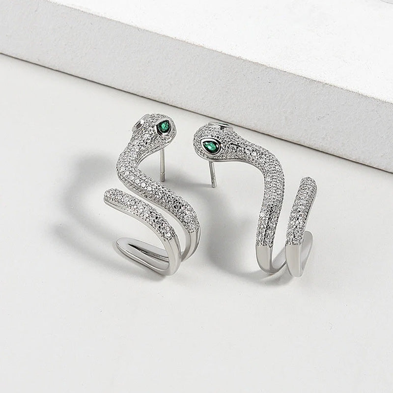 Smart Snake-Shaped Silver Ear Clip π