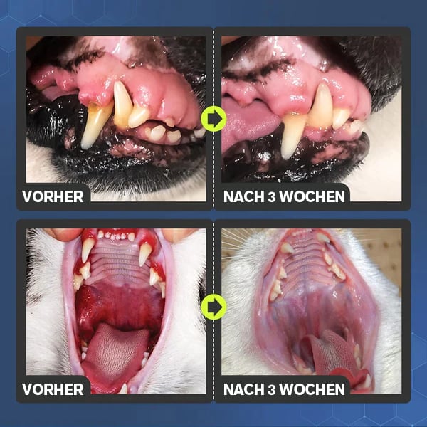 š„Offerš„Tooth cleaning spray for dogs and cats.