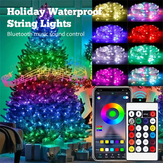 Holiday Waterproof String Lights