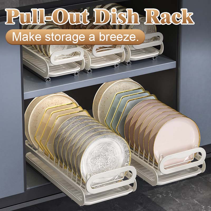 Pull-Out Dish Rack