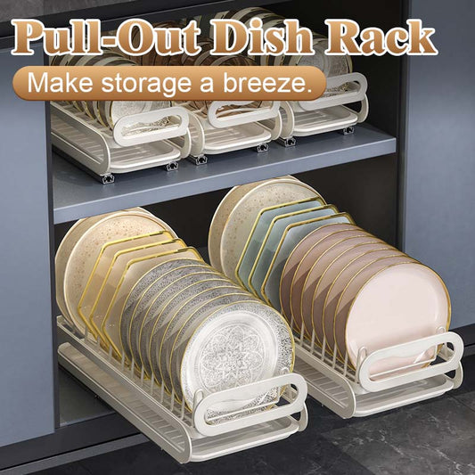 Pull-Out Dish Rack
