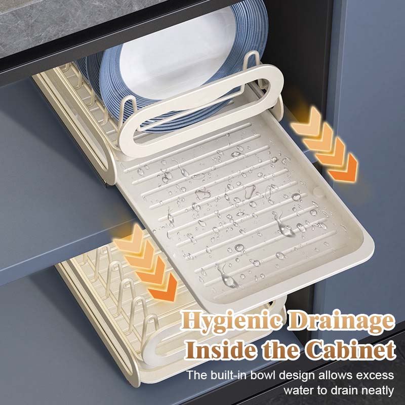 Pull-Out Dish Rack