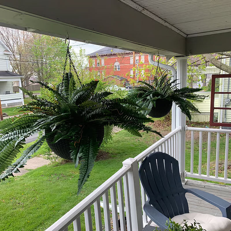 UV resistant lifelike artificial Boston Fern