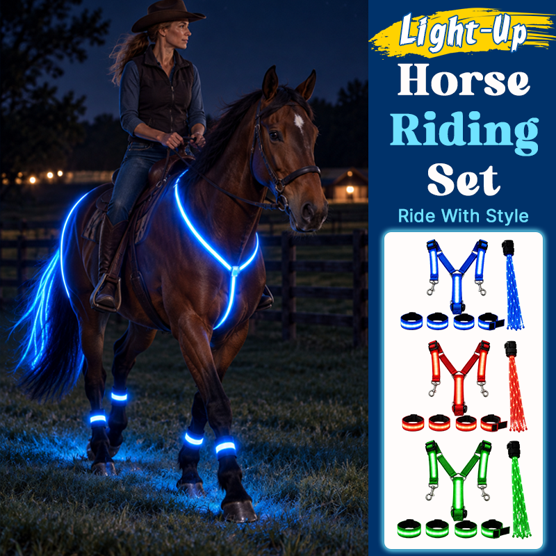 🐎Light-up Horse-riding Set