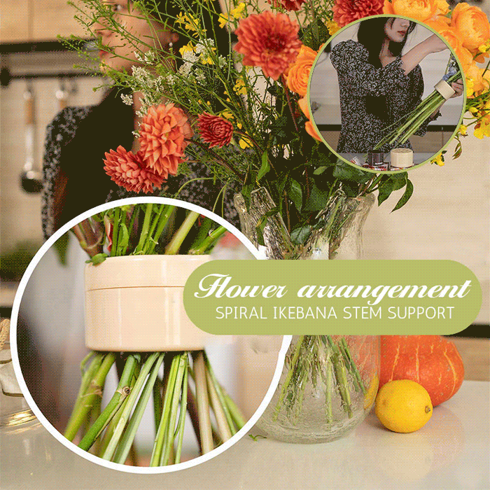 🎄Mother's Day Special🎄Spiral Ikebana Stem Holder