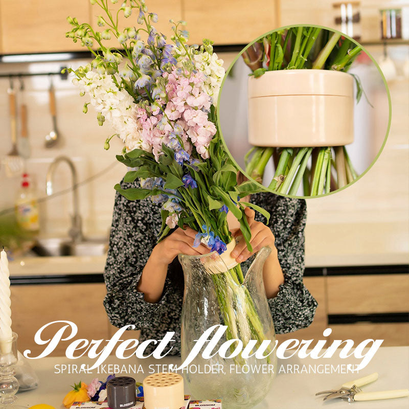 🎄Mother's Day Special🎄Spiral Ikebana Stem Holder